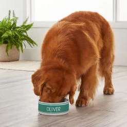 Frisco Preppy Stripes Ceramic Personalized Dog Bowl -Frisco 250839 PT3. AC SS1800 V1610769318
