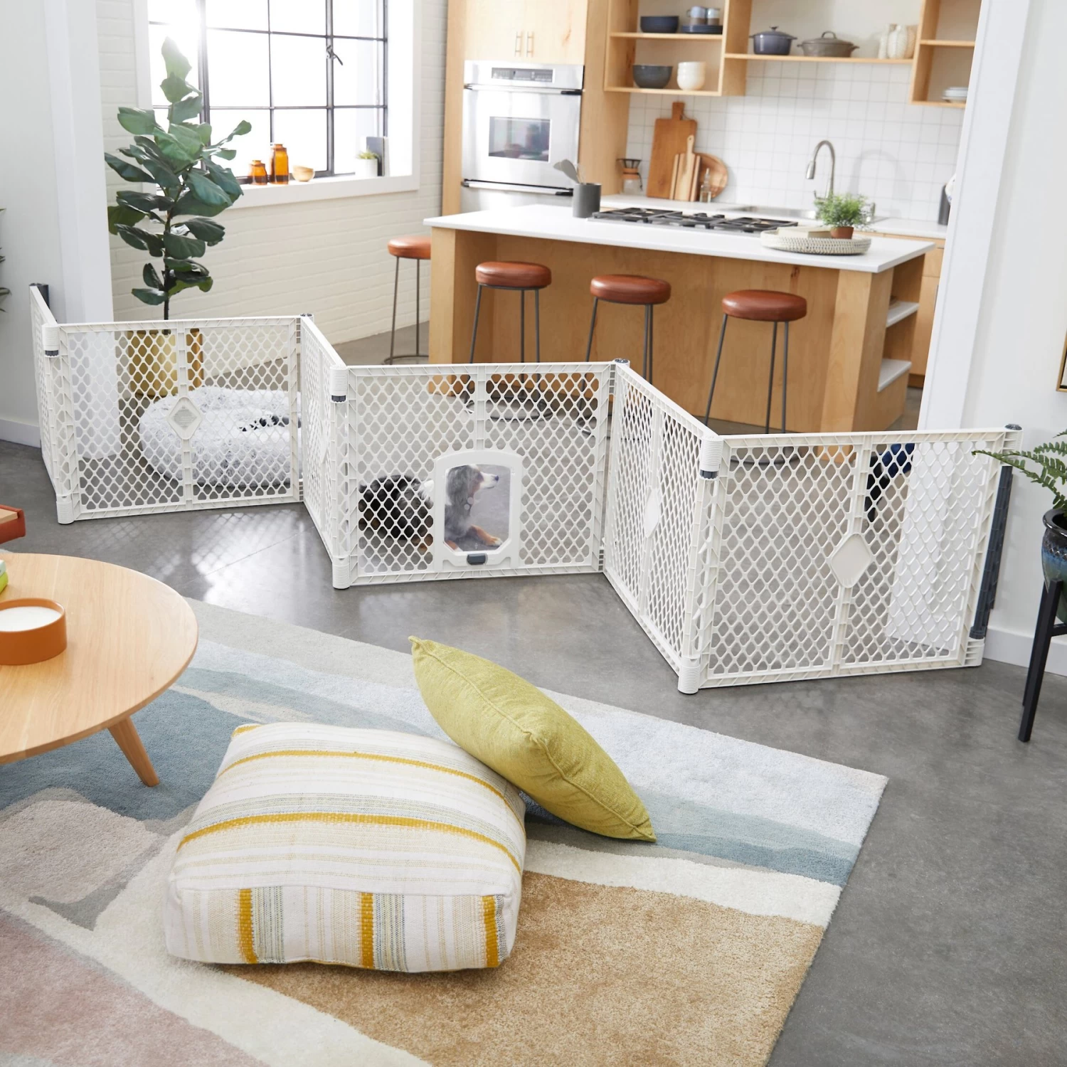 Frisco 6-Panel Plastic Exercise Dog Playpen, Light Gray 10 Frisco 6-Panel Plastic Exercise Dog Playpen, Light Gray - Image 8