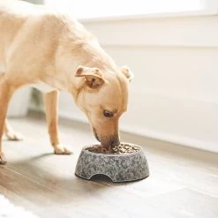 Frisco Black Marble Design Stainless Steel Dog & Cat Bowl 13 Frisco Black Marble Design Stainless Steel Dog & Cat Bowl -Frisco 253048 PT2. AC SS1800 V1616526446