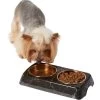 Frisco Copper Stainless Steel Double Dog & Cat Bowls With Black Marble Stand -Frisco 253058 MAIN. AC SS1800 V1616075012