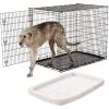 Frisco Heavy Duty Single Door Wire Dog Crate & Frisco Quilted Dog Crate Mat 2 Frisco Heavy Duty Single Door Wire Dog Crate & Frisco Quilted Dog Crate Mat -Frisco 255633 MAIN. AC SS1800 V1604147197