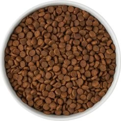 Frisco Paw Prints Non-skid Ceramic Bowl 13 Frisco Paw Prints Non-skid Ceramic Bowl -Frisco 256072 PT5. AC SS1800 V1615312318