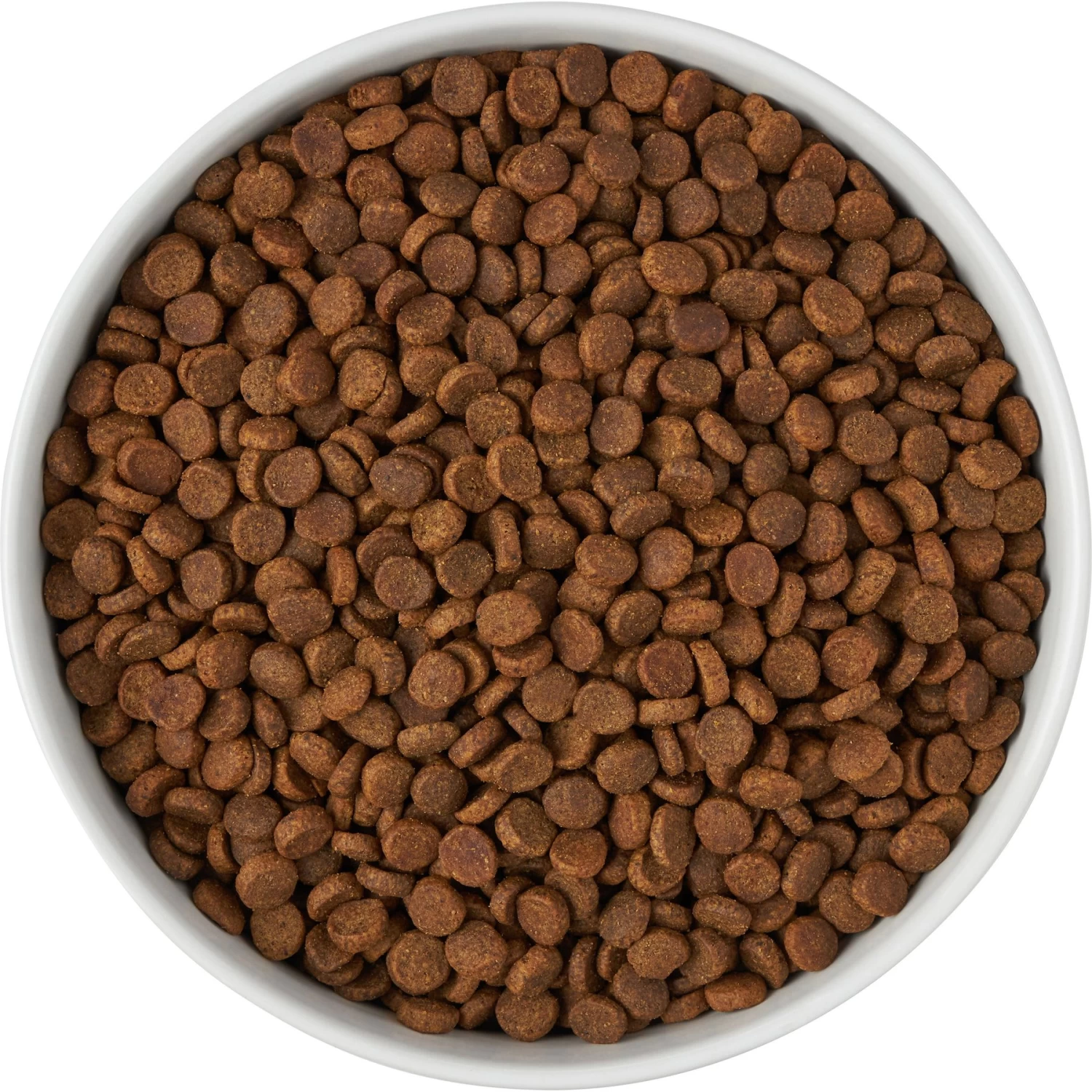 Frisco Paw Prints Non-skid Ceramic Bowl 8 Frisco Paw Prints Non-skid Ceramic Bowl - Image 6