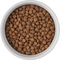 Frisco Bones Non-skid Ceramic Dog & Cat Bowl -Frisco 256074 PT5. AC SS1800 V1615312010