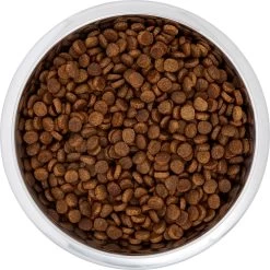 Frisco Black Iron Non-Skid Stainless Steel Dog & Cat Bowl 14 Frisco Black Iron Non-Skid Stainless Steel Dog & Cat Bowl -Frisco 257152 PT4. AC SS1800 V1615311427