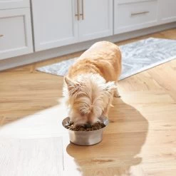 Frisco Flare Non-Skid Stainless Steel Dog & Cat Bowl -Frisco 257162 PT2. AC SS1800 V1692989463