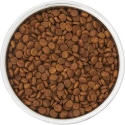 Frisco Insulated Two-Toned Non-Skid Stainless Steel Dog & Cat Bowl 13 Frisco Insulated Two-Toned Non-Skid Stainless Steel Dog & Cat Bowl -Frisco 257168 PT4. AC SS1800 V1612367255