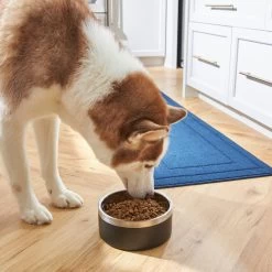 Frisco Insulated Two-Toned Non-Skid Stainless Steel Dog & Cat Bowl 15 Frisco Insulated Two-Toned Non-Skid Stainless Steel Dog & Cat Bowl -Frisco 257168 PT8. AC SS1800 V1615840126