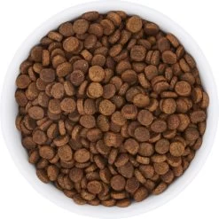 Frisco Bohemian Non-Skid Stainless Steel Dog & Cat Bowl -Frisco 257195 PT4. AC SS1800 V1615311089