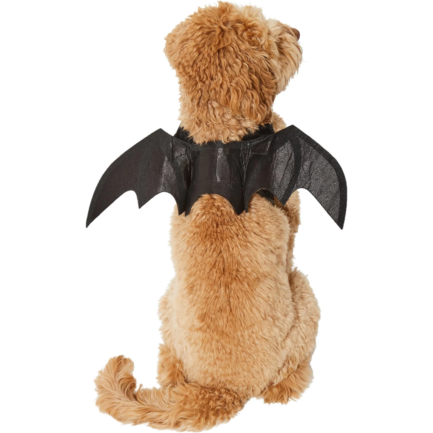 Frisco Bat Wings Dog & Cat Costume 5 Frisco Bat Wings Dog & Cat Costume - Image 3