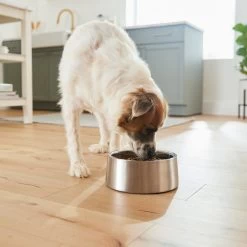 Frisco Insulated Non-Skid Stainless Steel Dog & Cat Bowl -Frisco 261757 PT5. AC SS1800 V1623937435