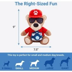 Frisco Road Trip Tourist Bear Plush Squeaky Dog Toy -Frisco 261995 PT1. AC SS1800 V1622563654