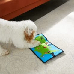 Frisco Road Trip Foldable Map Flat Plush Squeaky Dog Toy 11 Frisco Road Trip Foldable Map Flat Plush Squeaky Dog Toy -Frisco 261998 PT4. AC SS1800 V1619791937