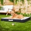 Frisco Indoor/Outdoor Arrow Print Pillow Dog Bed W/Removable Cover -Frisco 262153 MAIN. AC SS1800 V1619807962