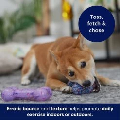 Frisco Birthday TPR Fetch Bone Squeaky Dog Toy 12 Frisco Birthday TPR Fetch Bone Squeaky Dog Toy -Frisco 264422 PT4. AC SS1800 V1695760988
