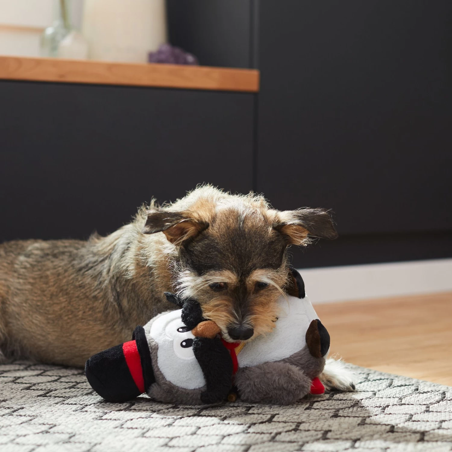 Frisco Magic Owl Plush Squeaky Dog Toy 5 Frisco Magic Owl Plush Squeaky Dog Toy - Image 3