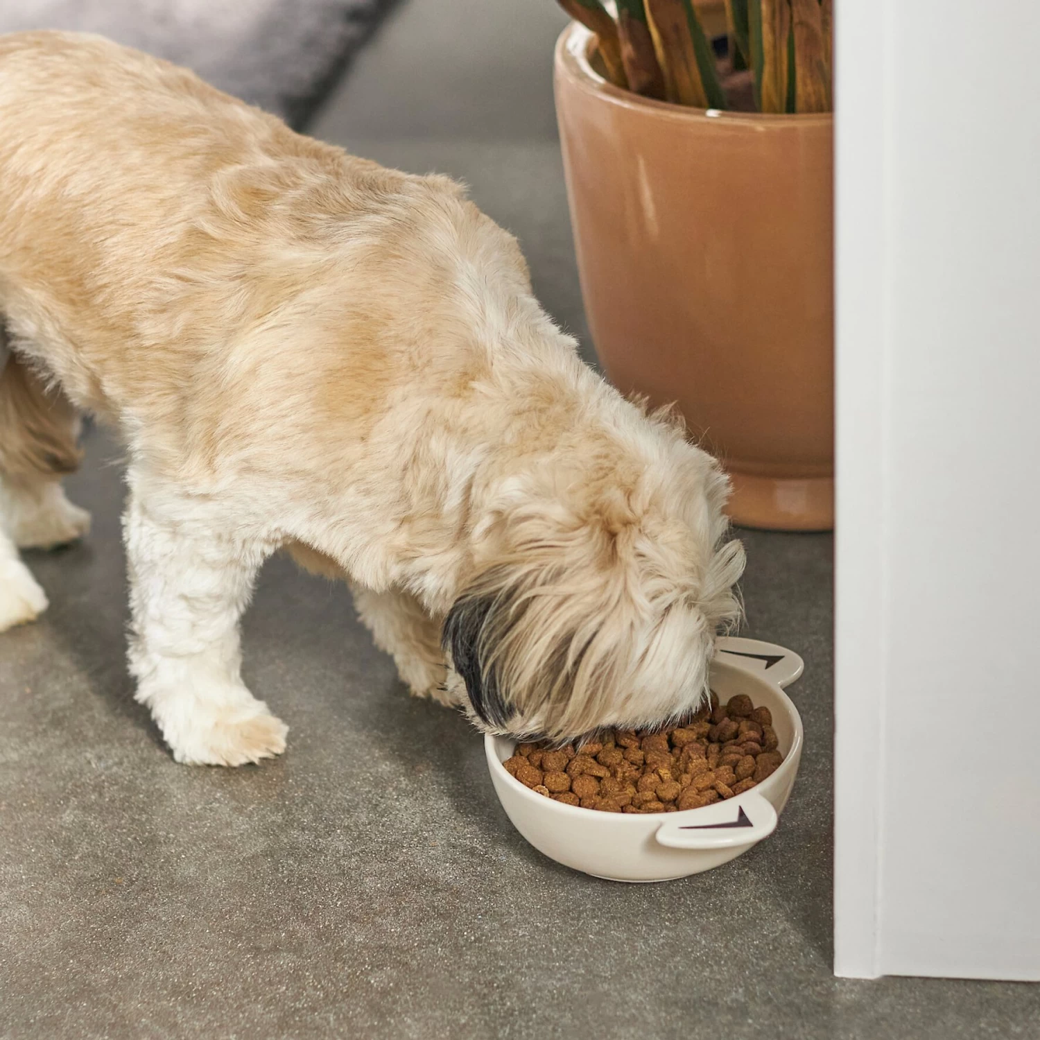 Frisco Dog Face Non-skid Ceramic Cat & Dog Bowl 5 Frisco Dog Face Non-skid Ceramic Cat & Dog Bowl - Image 3