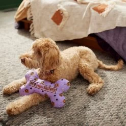 Frisco Halloween My First Halloween Bone Reversible Plush Squeaky Dog Toy -Frisco 270452 PT3. AC SS1800 V1624817314