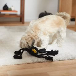 Frisco Halloween Spider Rope Dog Toy 8 Frisco Halloween Spider Rope Dog Toy -Frisco 270504 PT3. AC SS1800 V1624825021