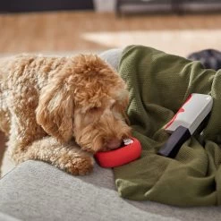 Frisco Halloween Vampire Teeth & Knife Latex Squeaky Dog Toy 8 Frisco Halloween Vampire Teeth & Knife Latex Squeaky Dog Toy -Frisco 270512 PT3. AC SS1800 V1624817093