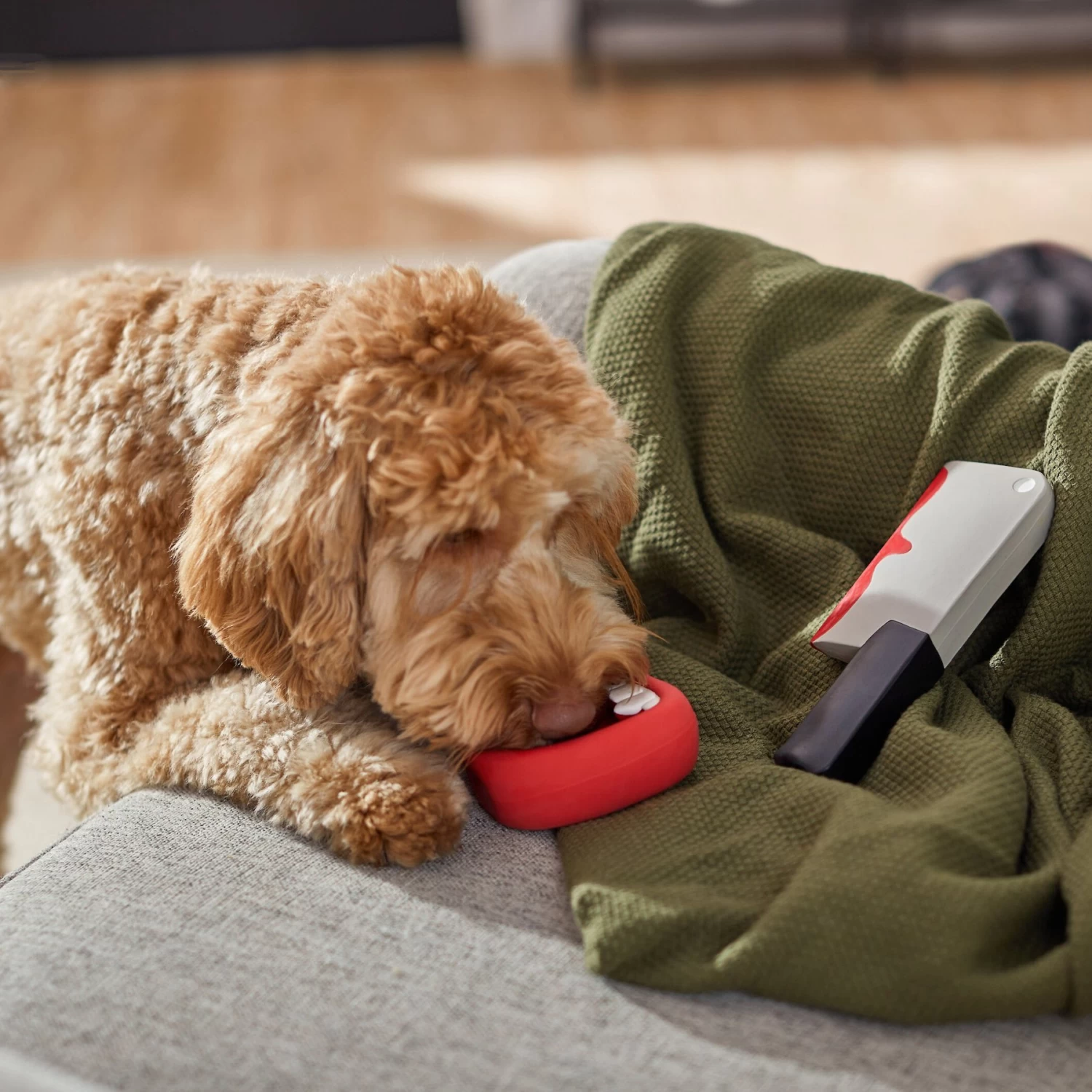 Frisco Halloween Vampire Teeth & Knife Latex Squeaky Dog Toy 5 Frisco Halloween Vampire Teeth & Knife Latex Squeaky Dog Toy - Image 3