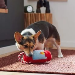 Frisco Camping Lantern Plush With Rope Squeaky Dog Toy -Frisco 271013 PT3. AC SS1800 V1625160766