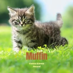 Frisco Personalized Basic Ceramic Photo Tile With Stand -Frisco 271227 PT2. AC SS1800 V1619198223