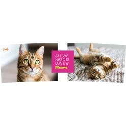 Frisco "Classic" Double Walled Personalized Tumbler. 30-oz -Frisco 272541 PT2. AC SS1800 V1625686095