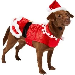 Frisco Mrs. Claus Dog & Cat Costume