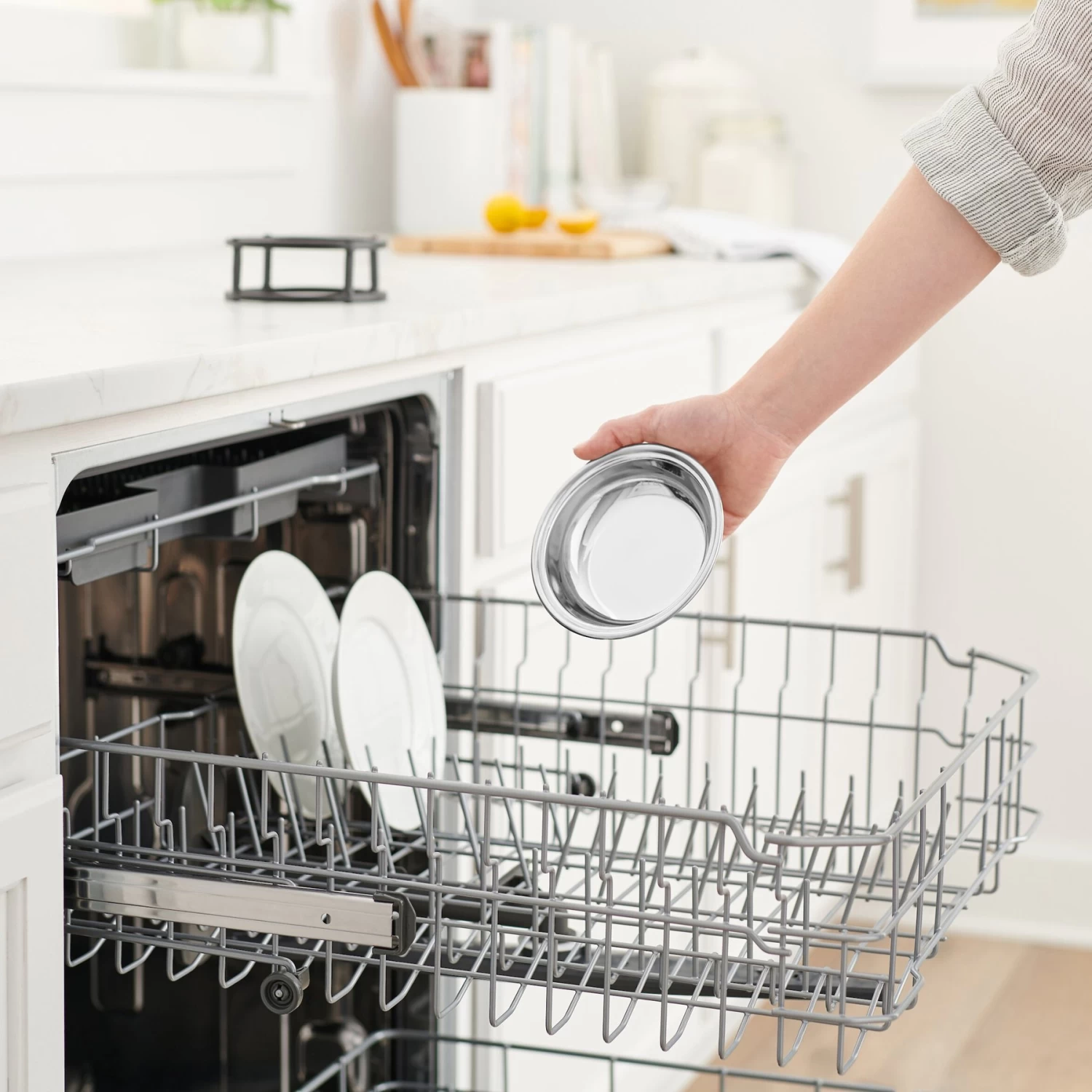 Frisco Elevated Stainless Steel Dish Cat Bowl, 1 Cup 9 Frisco Elevated Stainless Steel Dish Cat Bowl, 1 Cup - Image 7