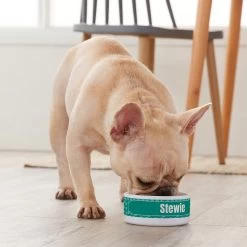 Frisco Personalized General Dog & Cat Small Dog Bowl 9 Frisco Personalized General Dog & Cat Small Dog Bowl -Frisco 278924 PT3. AC SS1800 V1629147374