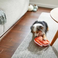 Frisco Fall Sweater Weather Flat Plush Squeaky Dog Toy -Frisco 285635 PT3. AC SS1800 V1629725212