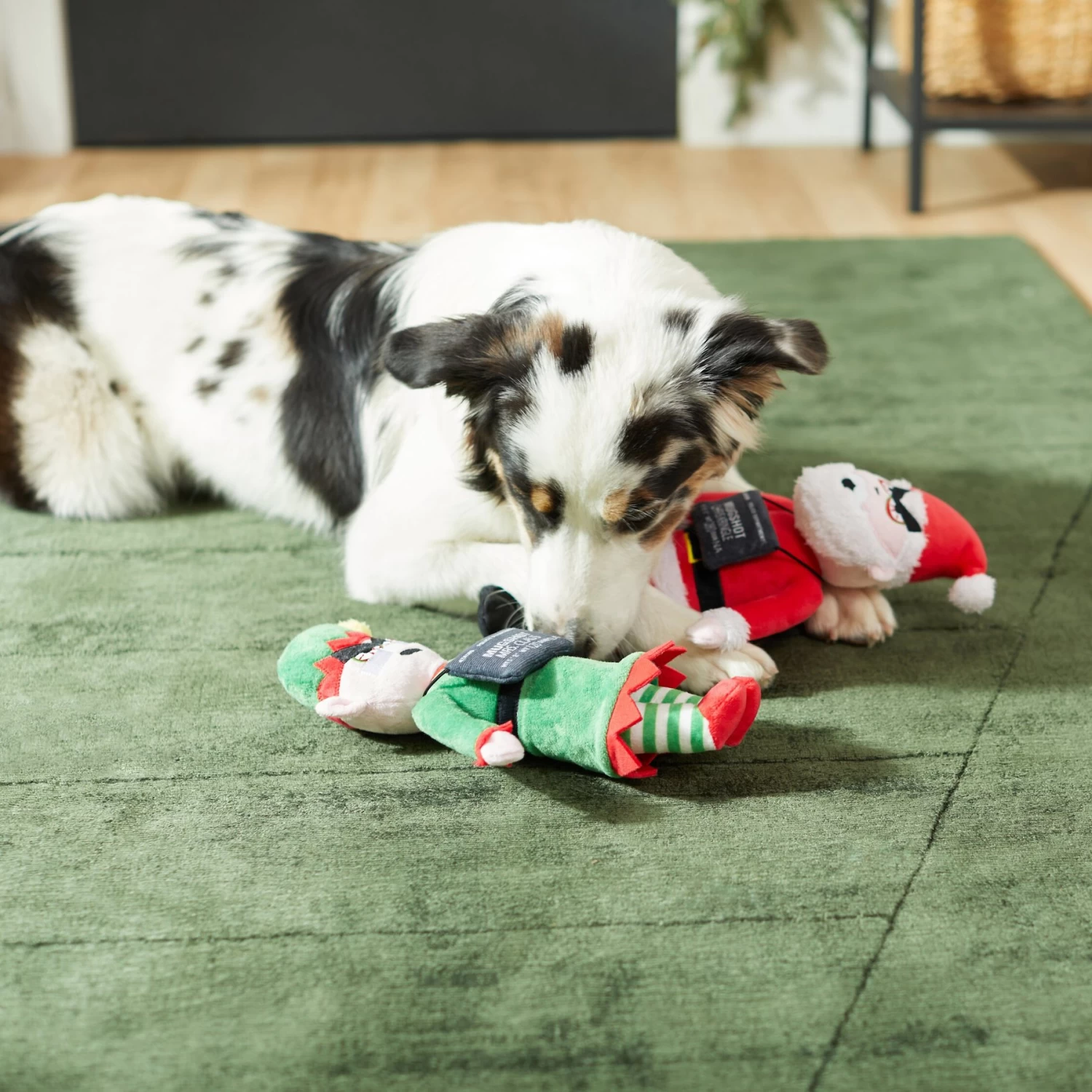 Frisco Holiday Bad Santa & Elf Plush Squeaky Dog Toy 5 Frisco Holiday Bad Santa & Elf Plush Squeaky Dog Toy - Image 3