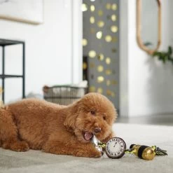 Frisco New Year's Eve Midnight Countdown Plush With Rope Squeaky Dog Toy 7 Frisco New Year's Eve Midnight Countdown Plush With Rope Squeaky Dog Toy -Frisco 288478 PT3. AC SS1800 V1638289625