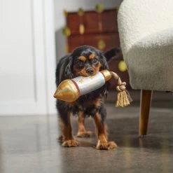 Frisco Firework Plush With Rope Squeaky Dog Toy 7 Frisco Firework Plush With Rope Squeaky Dog Toy -Frisco 288480 PT3. AC SS1800 V1638291301