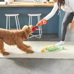 Frisco New Year, New Me Juice Cleanse Plush Squeaky Dog Toy 7 Frisco New Year, New Me Juice Cleanse Plush Squeaky Dog Toy -Frisco 288929 PT3. AC SS1800 V1638289348