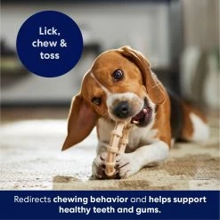 Frisco Ring Tough Nylon Chew Dog Toy, Chicken Flavor -Frisco 290533 PT4. AC SS1800 V1695760990