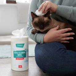 Frisco Gentle Cleaning Waterless Grooming Wipes For Puppies & Kittens, Green Tea Scent 13 Frisco Gentle Cleaning Waterless Grooming Wipes For Puppies & Kittens, Green Tea Scent -Frisco 291592 PT5. AC SS1800 V1627306905