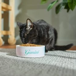 Frisco Watercolors Ceramic Personalized Dog Bowl -Frisco 296664 PT3. AC SS1800 V1625764646