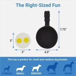 Frisco Brunch Breakfast Skillet Latex Squeaky Dog Toy, 2 Count -Frisco 297264 PT1. AC SS1800 V1643916399