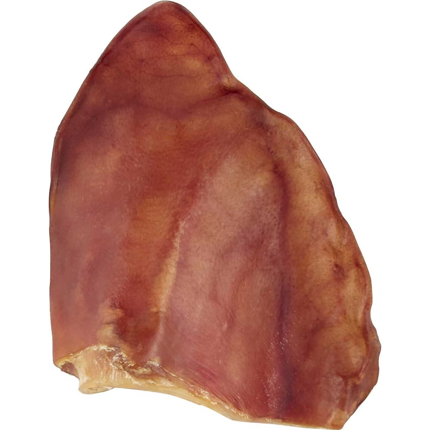 Frisco Fetch Squeaky TPR Ball Dog Toy & Bones & Chews Pig Ear Chews Dog Treats 7 Frisco Fetch Squeaky TPR Ball Dog Toy & Bones & Chews Pig Ear Chews Dog Treats - Image 5