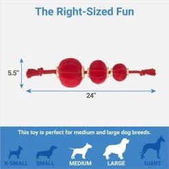 Frisco Lunar New Year Lantern Plush With Rope Squeaky Dog Toy 6 Frisco Lunar New Year Lantern Plush With Rope Squeaky Dog Toy -Frisco 298885 PT1. AC SS1800 V1673964150