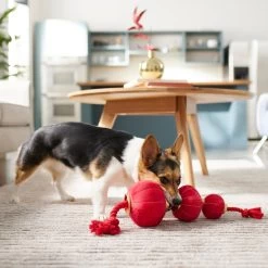 Frisco Lunar New Year Lantern Plush With Rope Squeaky Dog Toy 7 Frisco Lunar New Year Lantern Plush With Rope Squeaky Dog Toy -Frisco 298885 PT3. AC SS1800 V1640269279