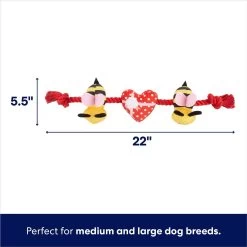 Frisco Valentine Bee Mine Plush With Rope Squeaky Dog Toy 7 Frisco Valentine Bee Mine Plush With Rope Squeaky Dog Toy -Frisco 298937 PT1. AC SS1800 V1701365189