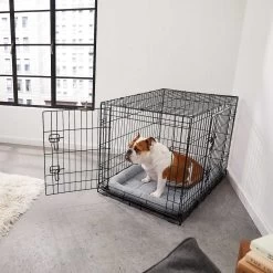 Frisco Fold & Carry Double Door Collapsible Wire Dog Crate & Mat Kit & Frisco Stainless Steel Bowl 14 Frisco Fold & Carry Double Door Collapsible Wire Dog Crate & Mat Kit & Frisco Stainless Steel Bowl -Frisco 303428 PT4. AC SS1800 V1623089543