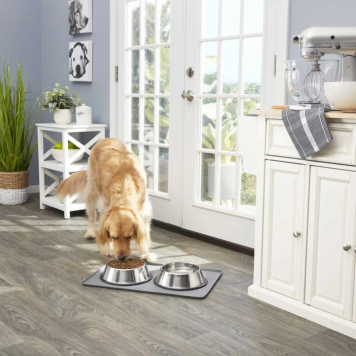 Frisco Fold & Carry Double Door Collapsible Wire Dog Crate & Mat Kit & Frisco Stainless Steel Bowl 10 Frisco Fold & Carry Double Door Collapsible Wire Dog Crate & Mat Kit & Frisco Stainless Steel Bowl - Image 8