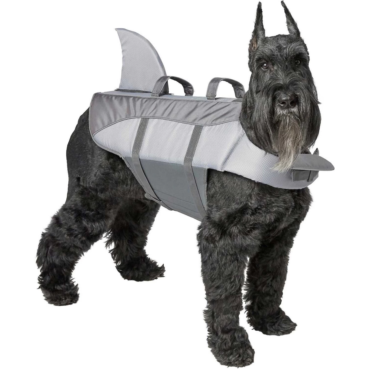 Frisco Shark Dog Life Jacket & Frisco Foam Rubber Floating Fetch Ball No Squeak Dog Toy 4 Frisco Shark Dog Life Jacket & Frisco Foam Rubber Floating Fetch Ball No Squeak Dog Toy - Image 2