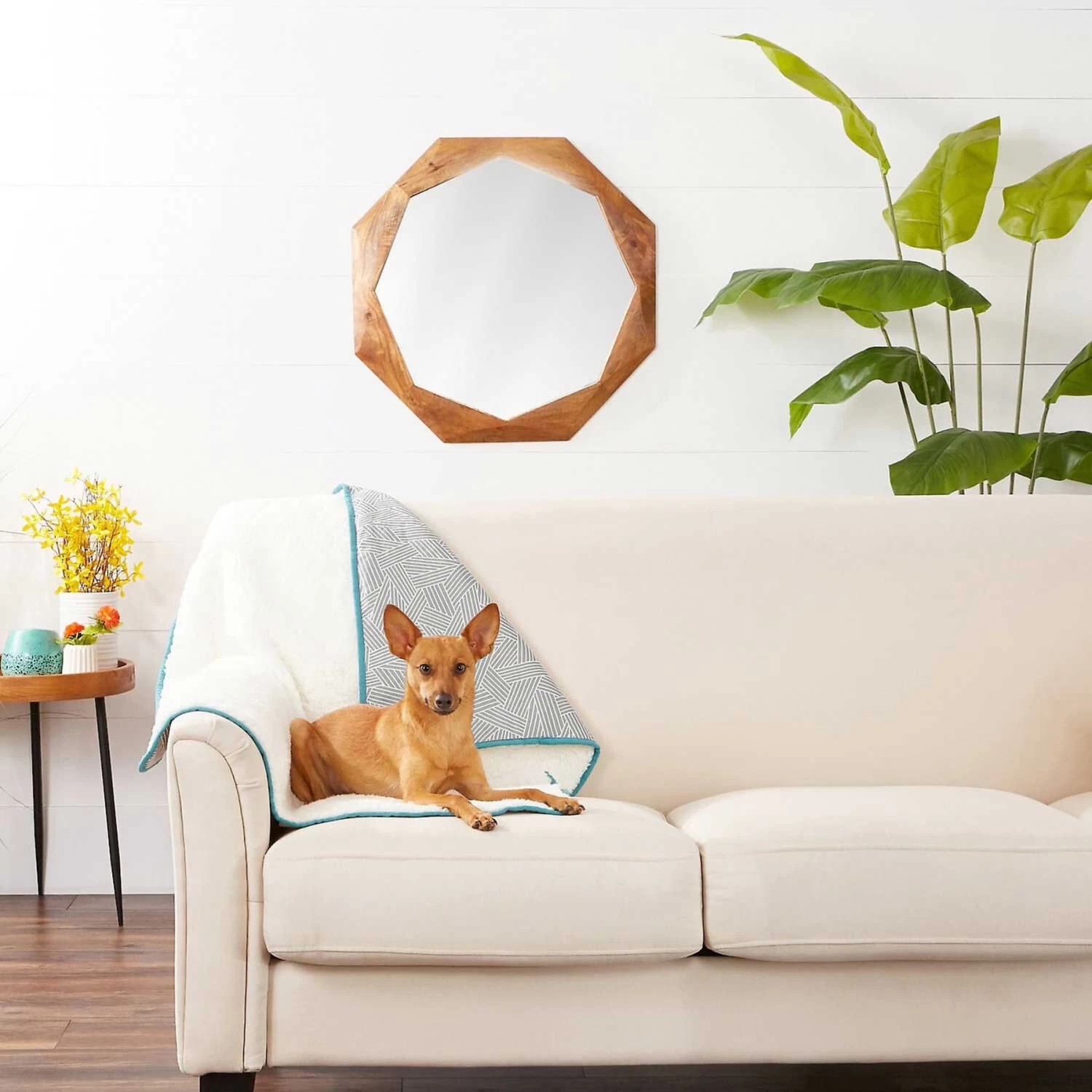 Frisco Sherpa Dog & Cat Blanket & Frisco Sherpa Hexagon Bolster Cat & Dog Bed 6 Frisco Sherpa Dog & Cat Blanket & Frisco Sherpa Hexagon Bolster Cat & Dog Bed - Image 4