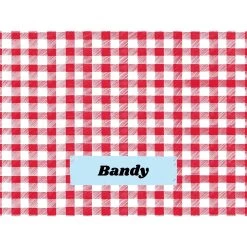 Frisco Personalized Gingham Plaid Sherpa Cat & Dog Blanket, 30" X 40" 12 Frisco Personalized Gingham Plaid Sherpa Cat & Dog Blanket, 30" X 40" -Frisco 303834 PT4. AC SS1800 V1637610144