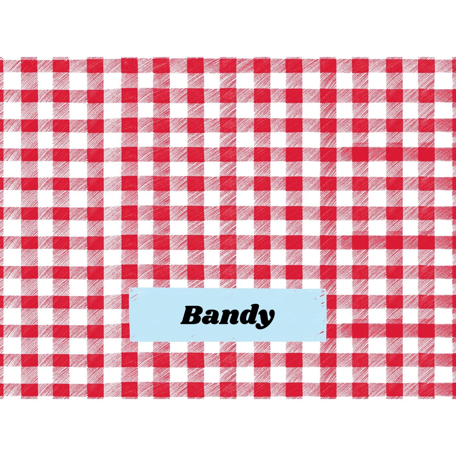 Frisco Personalized Gingham Plaid Sherpa Cat & Dog Blanket, 30" X 40" 7 Frisco Personalized Gingham Plaid Sherpa Cat & Dog Blanket, 30" X 40" - Image 5